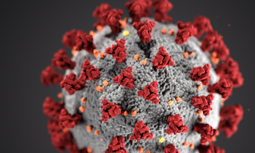 An image depicting the novel coronavirus covid 19